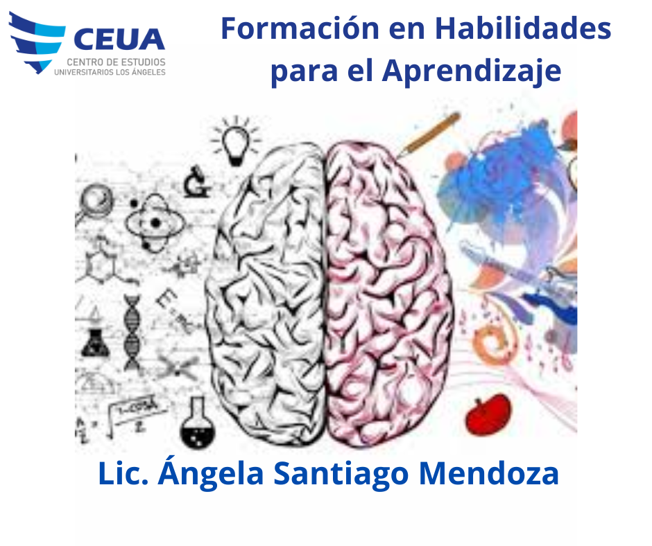 FORMACIÓN EN HABILIDADES PARA EL APRENDIZAJE
