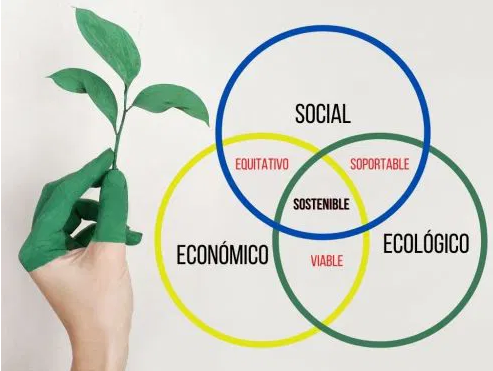 DESARROLLO SUSTENTABLE