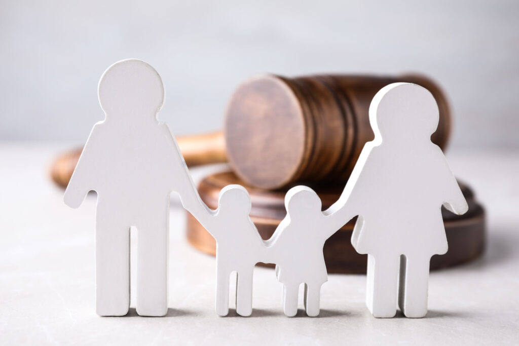 DERECHO CIVIL: PERSONAS Y FAMILIA